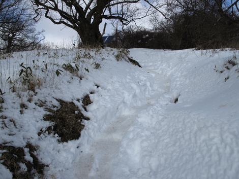 20170118hike (316)